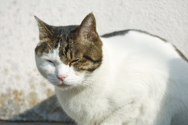 寒いと猫背になりがちだが自律神経にも影響が