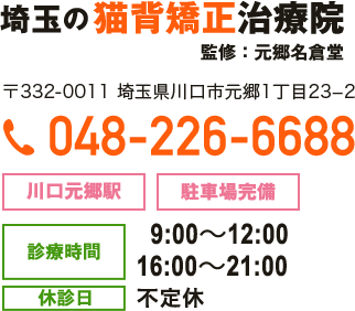 埼玉の猫背矯正治療院　監修元郷名倉堂　〒332-0011 埼玉県川口市元郷1丁目23−2　TEL:048-226-6688